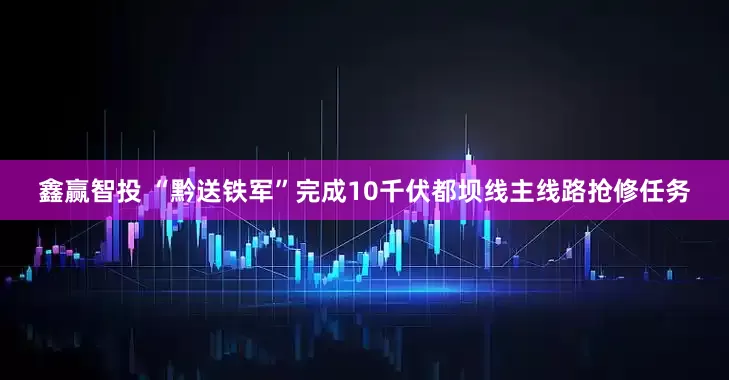 鑫赢智投 “黔送铁军”完成10千伏都坝线主线路抢修任务