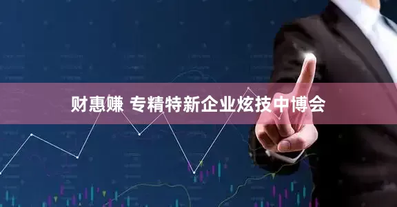 财惠赚 专精特新企业炫技中博会