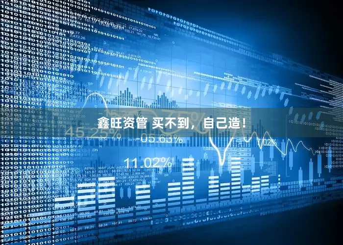 鑫旺资管 买不到，自己造！