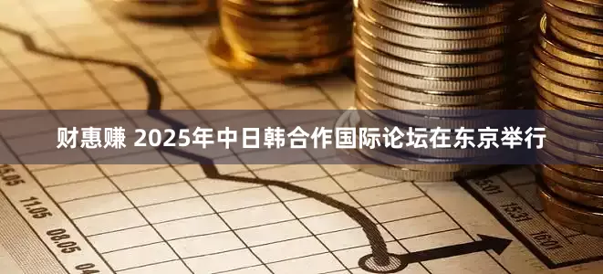 财惠赚 2025年中日韩合作国际论坛在东京举行
