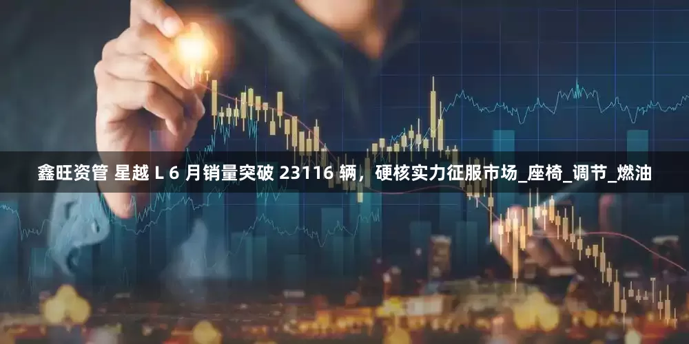 鑫旺资管 星越 L 6 月销量突破 23116 辆，硬核实力征服市场_座椅_调节_燃油