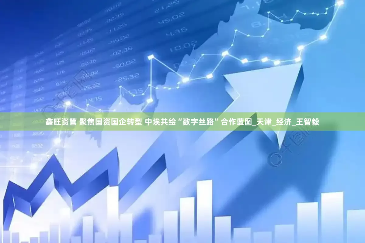 鑫旺资管 聚焦国资国企转型 中埃共绘“数字丝路”合作蓝图_天津_经济_王智毅