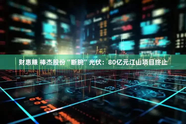 财惠赚 棒杰股份“断腕”光伏：80亿元江山项目终止