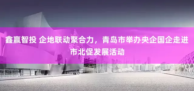 鑫赢智投 企地联动聚合力，青岛市举办央企国企走进市北促发展活动